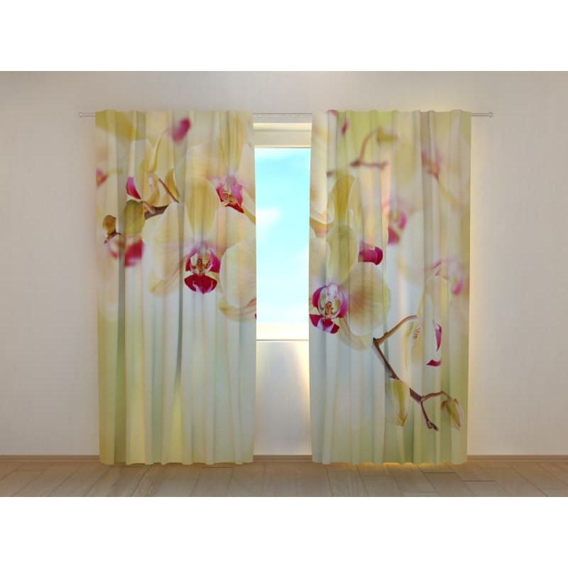 1,00 €Tenda personalizzata - Con un ramo di orchidee dorate