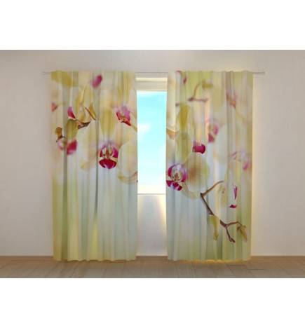 1,00 € Maßgeschneiderter Vorhang – Mit einem Zweig goldener Orchideen