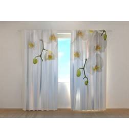 1,00 € Maßgeschneiderter Vorhang – Weiße Orchideen – ARREDALACASA
