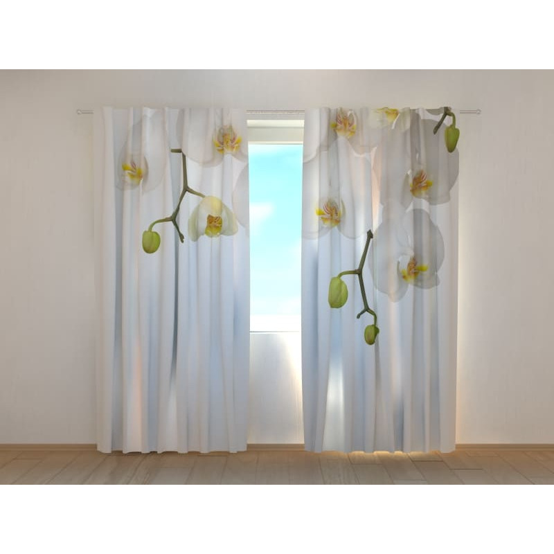 1,00 € Individualizuotos užuolaidos - Baltos orchidėjos - ARREDALACASA