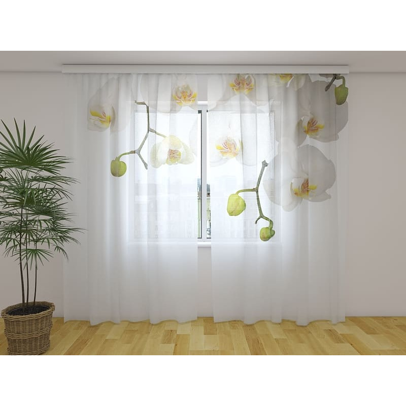 1,00 € Custom curtain - White orchids - ARREDALACASA