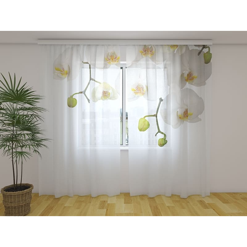1,00 € Individualizuotos užuolaidos - Baltos orchidėjos - ARREDALACASA