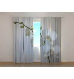 1,00 € Custom curtain - The white orchids