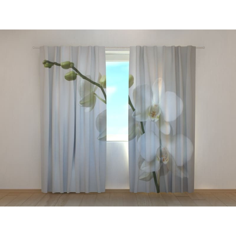 1,00 € Individualizuotos užuolaidos – baltos orchidėjos