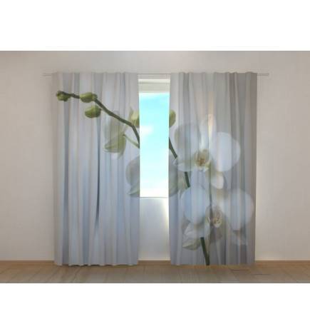 1,00 € Maßgeschneiderter Vorhang – Die weißen Orchideen