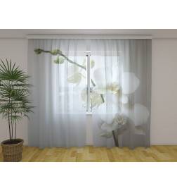 Tenda personalizzata - Le orchidee bianche