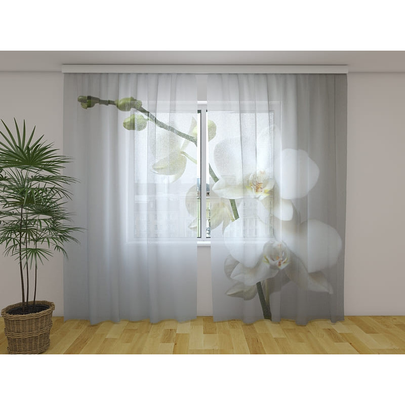 1,00 € Individualizuotos užuolaidos – baltos orchidėjos