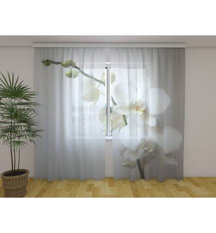 Custom curtain - The white orchids