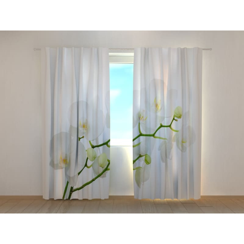 1,00 € Custom curtain - With a branch of white orchids