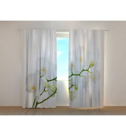 Maßgeschneiderter Vorhang – Mit einem Zweig aus weißen Orchideen