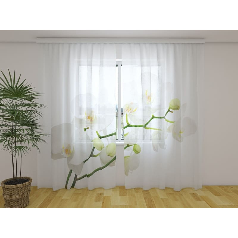 1,00 € Maßgeschneiderter Vorhang – Mit einem Zweig aus weißen Orchideen