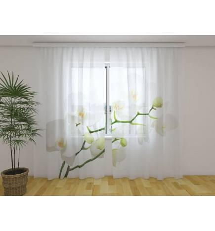 Cortina Personalizada - Con una rama de orquídeas blancas