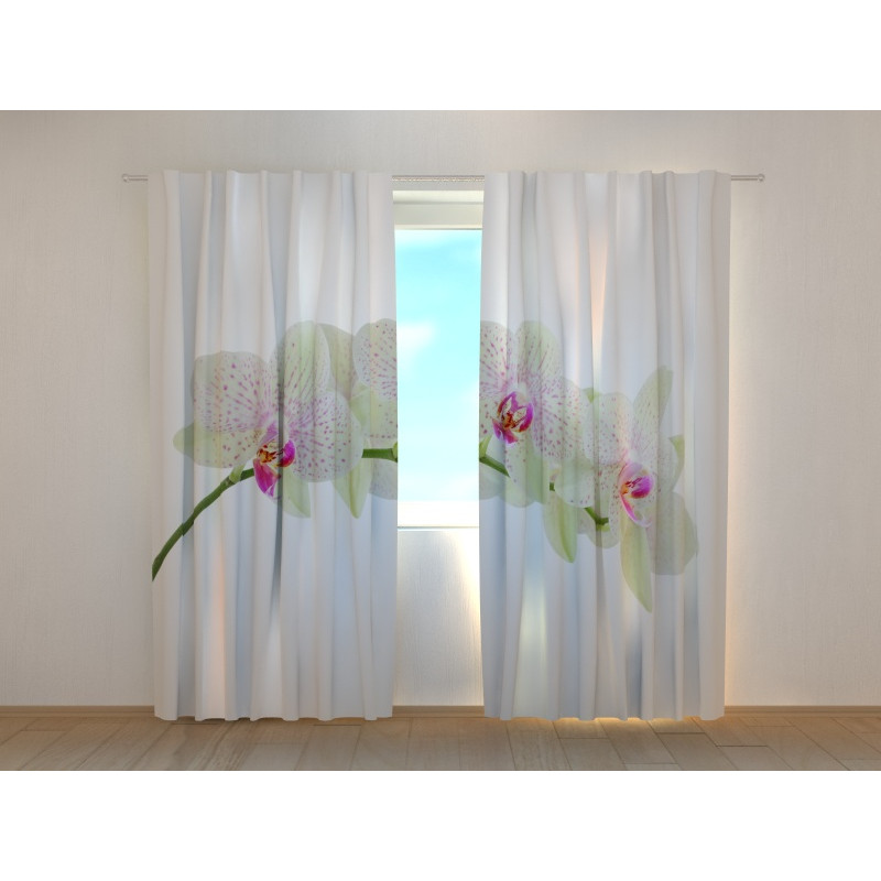 1,00 € Individualizuotos užuolaidos – su nuostabių orchidėjų šaka