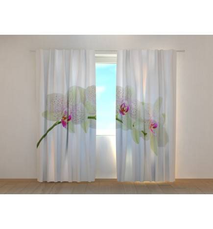 1,00 € Custom curtain - Featuring a branch of brilliant orchids