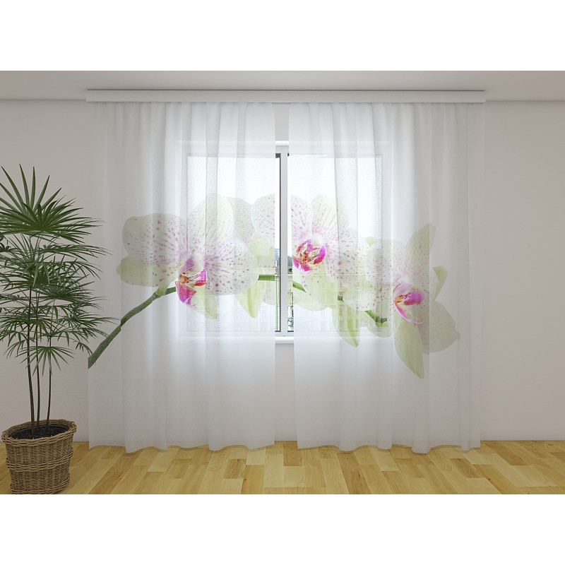 1,00 € Cortina personalizada - Con una rama de orquídeas brillantes