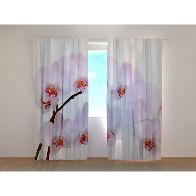 1,00 €Cortina personalizada - ramo de orquídea vermelha e branca 1,00 €Cortina personalizada - ramo de orquídea vermelha e branca