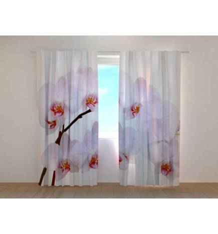 Custom curtain - red and white orchid branch