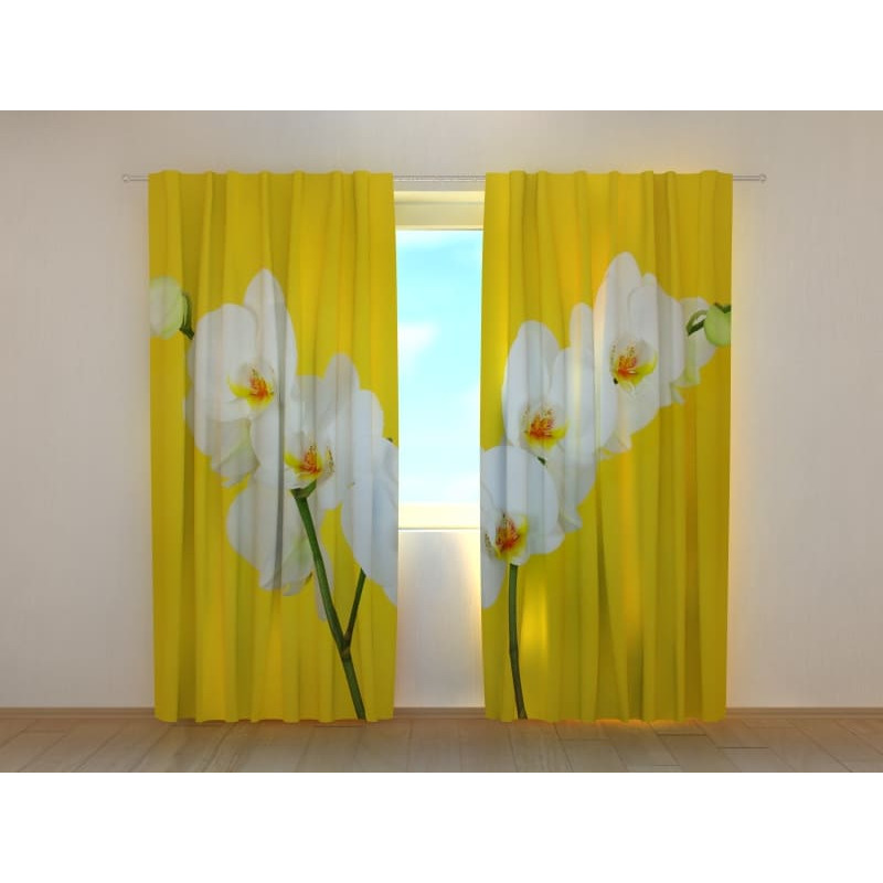1,00 € Gordijn op maat - Orchideeën met een gele achtergrond