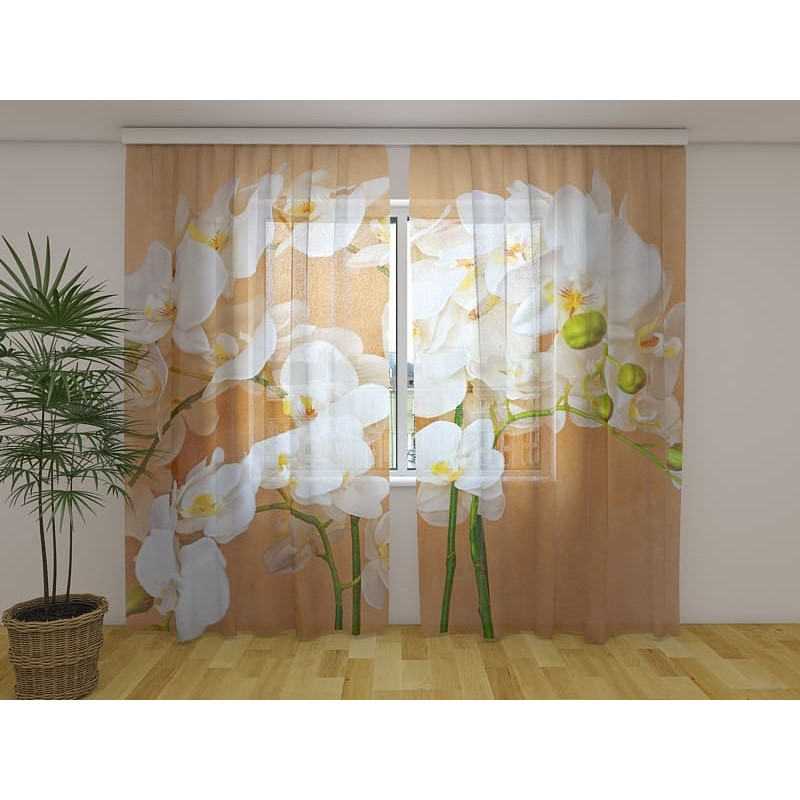 1,00 € Custom Curtain - Asian Orchids