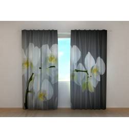 1,00 € Benutzerdefinierter Vorhang - Orchideenzweig - Grauer Hintergrund