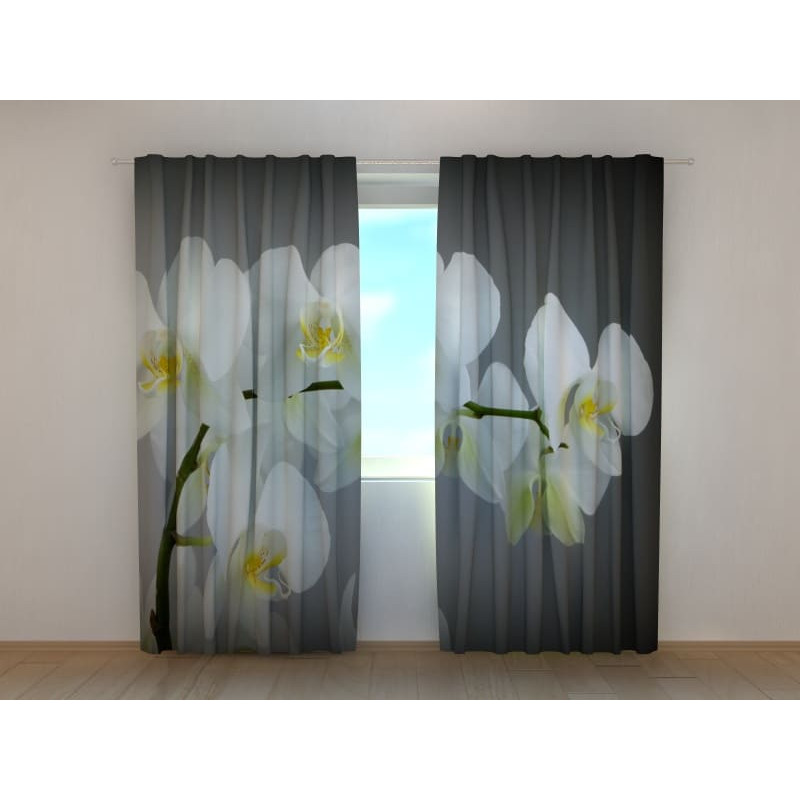 1,00 € Custom curtain - Orchid branch - Gray background