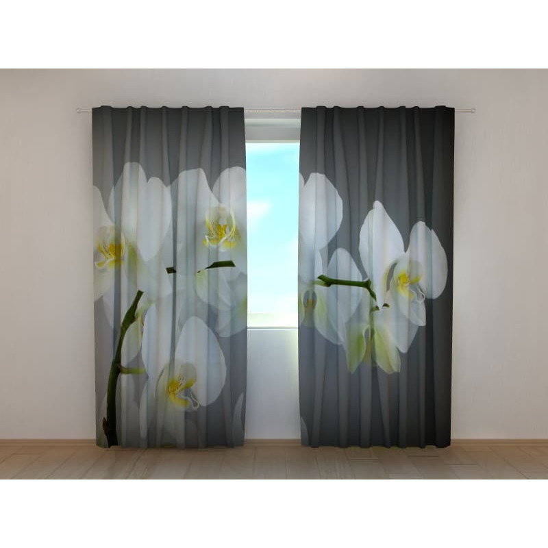 1,00 € Individualizuotos užuolaidos – Orchidėjos šakelė – Pilkas fonas