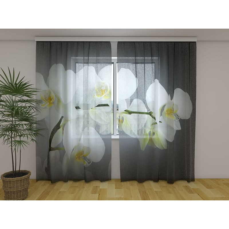 1,00 € Benutzerdefinierter Vorhang - Orchideenzweig - Grauer Hintergrund