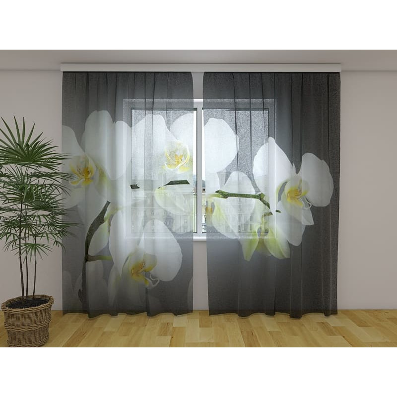 1,00 € Individualizuotos užuolaidos – Orchidėjos šakelė – Pilkas fonas