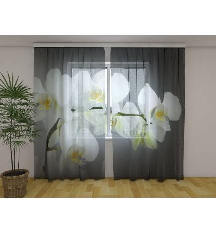 Benutzerdefinierter Vorhang - Orchideenzweig - Grauer Hintergrund