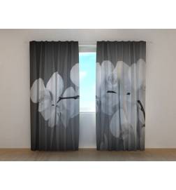 1,00 € Custom Curtain - White Orchids - Gray Background