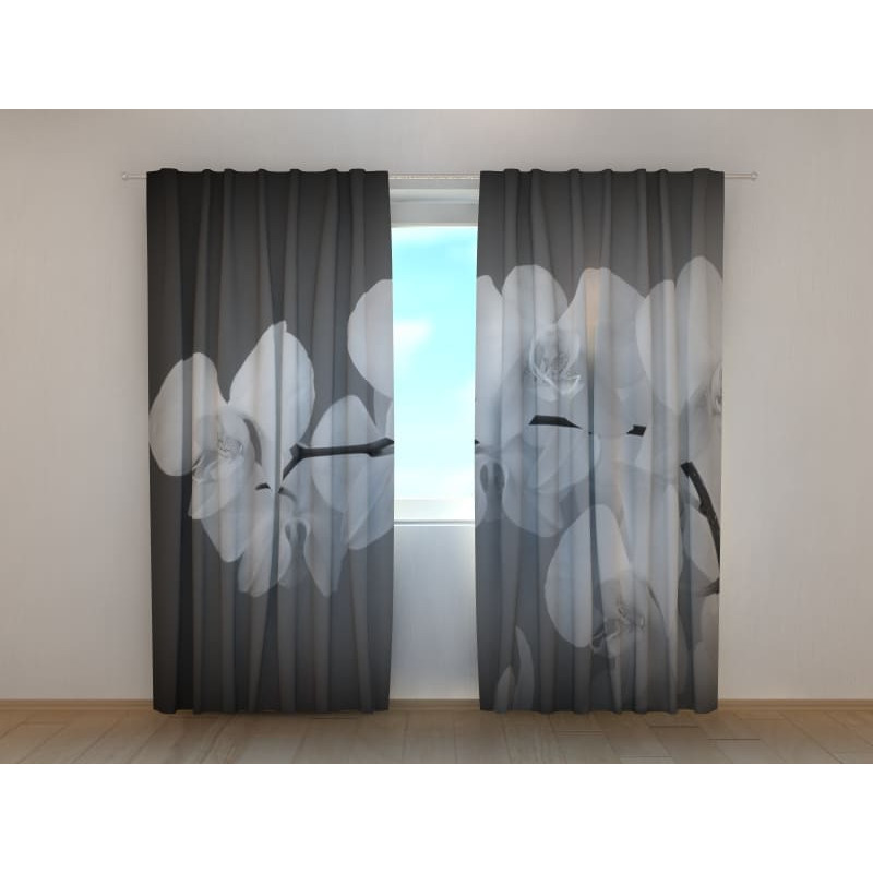 1,00 €Tenda personalizzata - Orchidee bianche - Sfondo grigio 1,00 €Tenda personalizzata - Orchidee bianche - Sfondo grigio