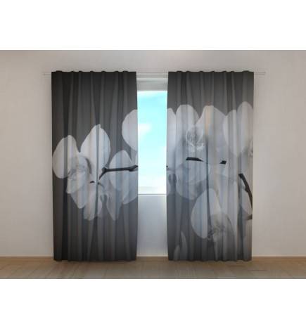 1,00 € Benutzerdefinierter Vorhang – Weiße Orchideen – Grauer Hintergrund