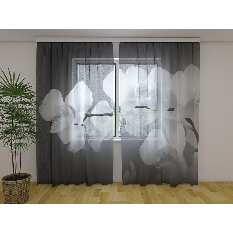 1,00 € Custom Curtain - White Orchids - Gray Background