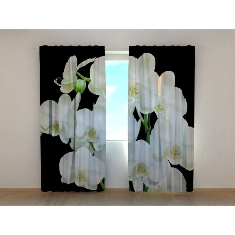 1,00 €Tenda personalizzata - Orchidee magiche 1,00 €Tenda personalizzata - Orchidee magiche