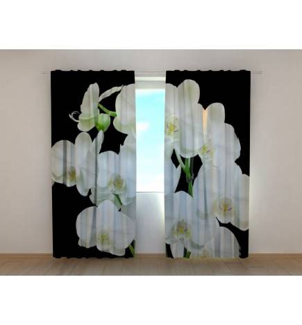 1,00 € Benutzerdefinierter Vorhang - Zauberhafte Orchideen