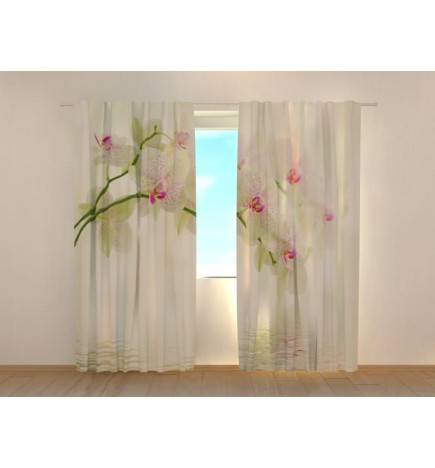 1,00 € Benutzerdefinierter Vorhang – Aqua und schimmernde Orchideen