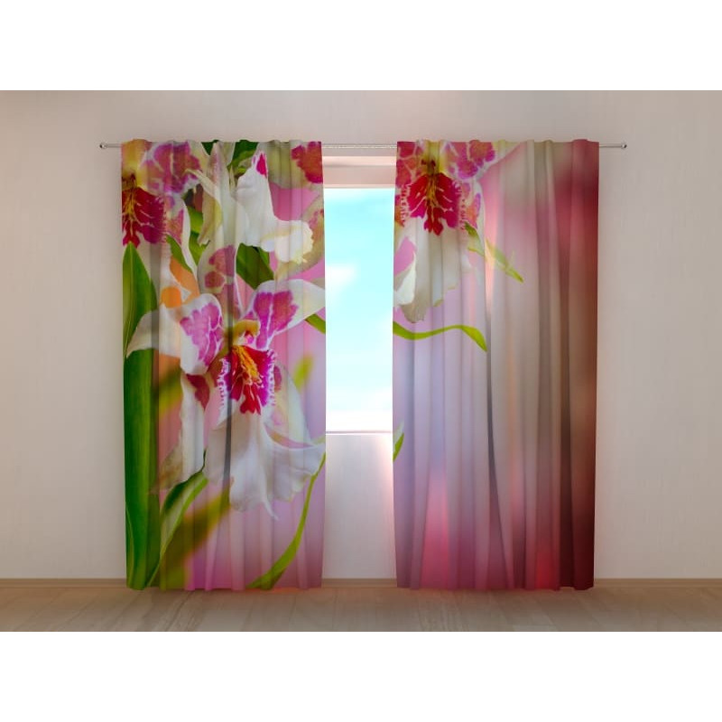 1,00 € Custom Curtain - Luxury Orchids