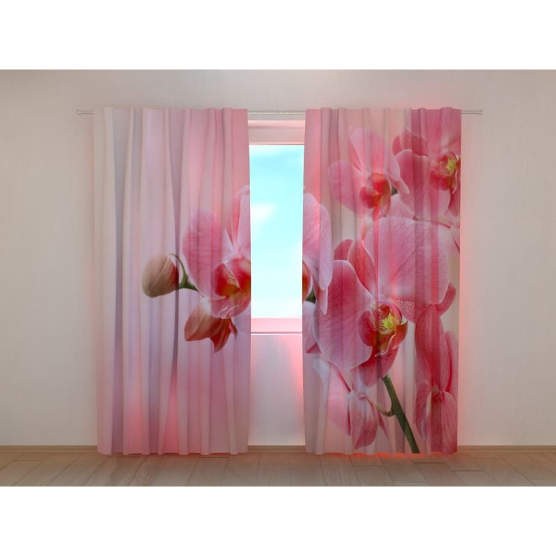 1,00 € Užuolaida pagal užsakymą - Rožinės orchidėjos - NAMŲ ĮRENGIMAS