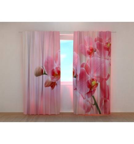 1,00 € Custom curtain - Pink orchids - HOME ARRANGEMENT