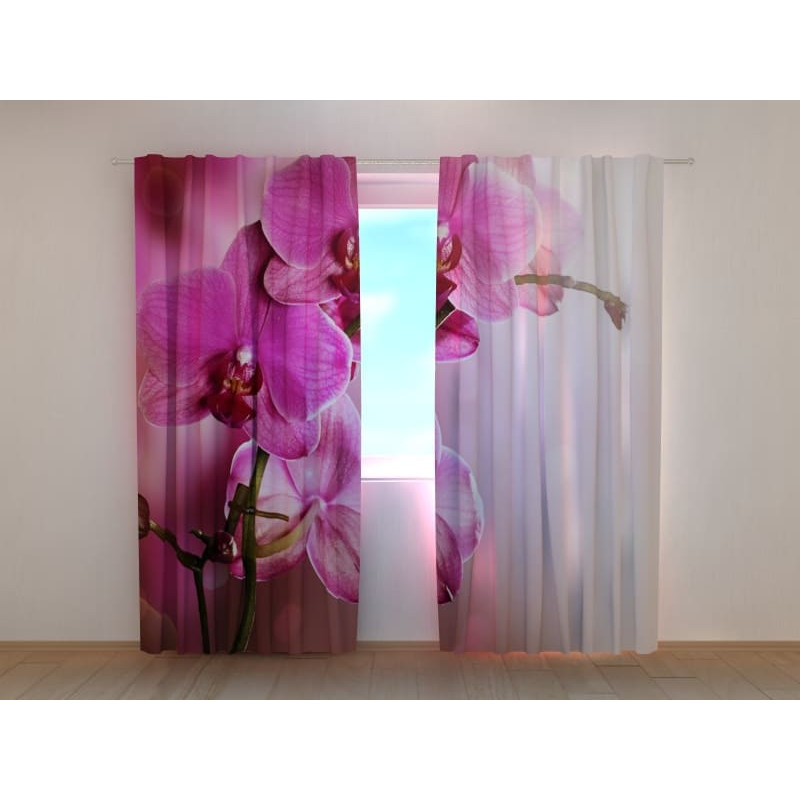 1,00 € Custom curtain - Purple orchids - HOME FURNISHING