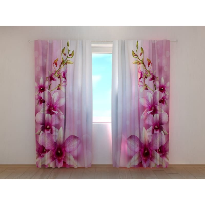 1,00 € Cortina personalizada - Orquídeas moradas brillantes 1,00 € Cortina personalizada - Orquídeas moradas brillantes