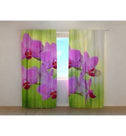 1,00 € Benutzerdefinierter Vorhang – Orchideen – Lila und Grün