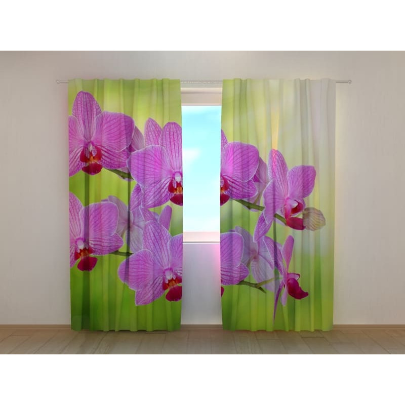 1,00 € Individualizuotos užuolaidos – orchidėjos – violetinė ir žalia
