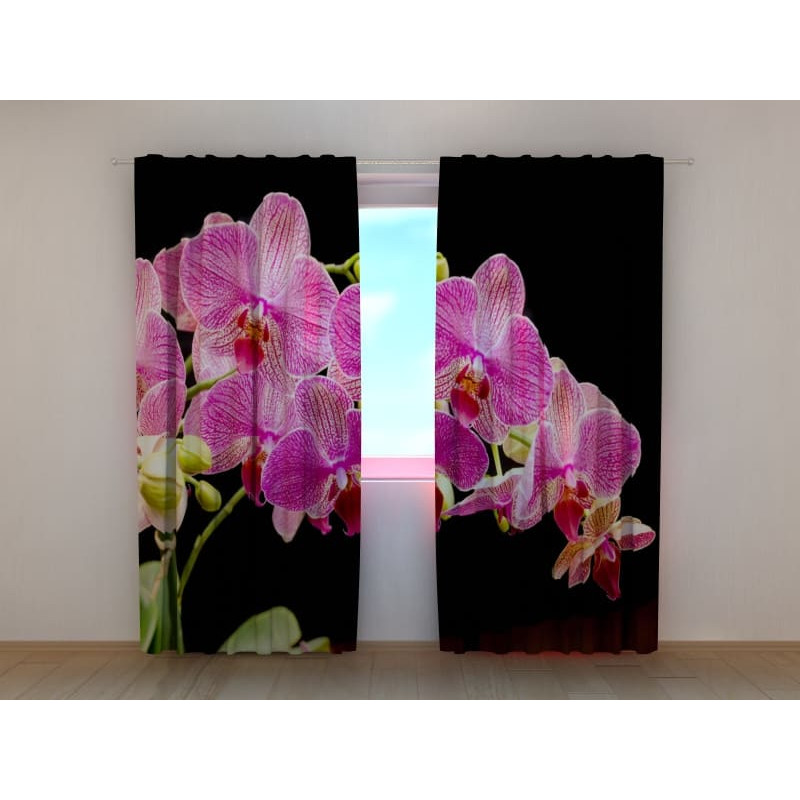 1,00 € Gordijn op maat - Roze orchideeën - Met zwarte achtergrond