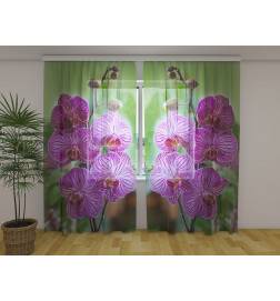 Cortina personalizată - Orhidee violet în verdeață