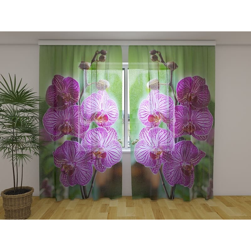 1,00 € Zavesa po meri – vijolične orhideje v zelenju 1,00 € Zavesa po meri – vijolične orhideje v zelenju