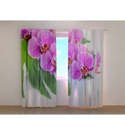 1,00 € Maßgeschneiderter Vorhang – Lila Orchideen mit grünen Blättern