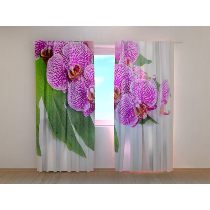 1,00 € Individualizuotos užuolaidos – violetinės orchidėjos žaliais lapais