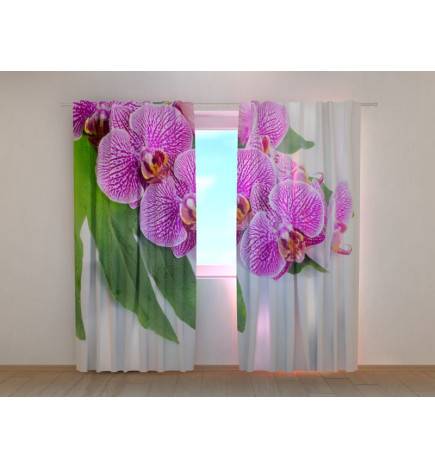 1,00 € Individualizuotos užuolaidos – violetinės orchidėjos žaliais lapais