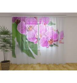 Maßgeschneiderter Vorhang – Lila Orchideen mit grünen Blättern
